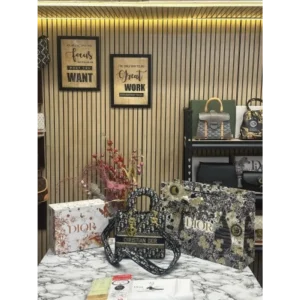 Stylish Dior Handbag For Women (SUP5220)
