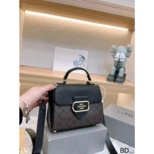 Imported Coach Handbag For Women (DW137)