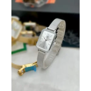 Luxurious Daniel Wellington Watch For Women (BT261)