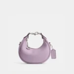 Premium Coach Handbag For Women (FT2599)