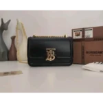 Imported Burberry Handbag For Women (DW151)