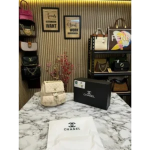 Imported Chanel Bagpack (J2632)