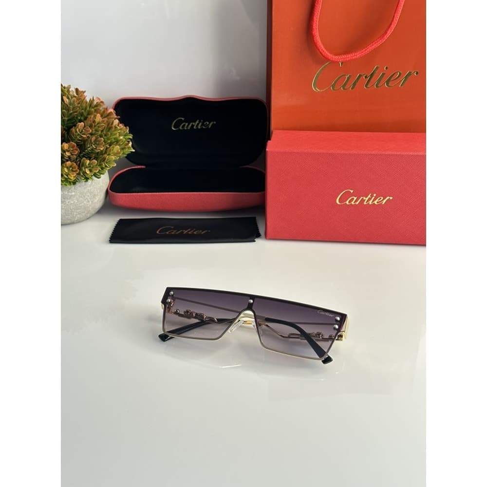 Cartier-Sunglasses-For-Men-Gold-Black-2.jpg