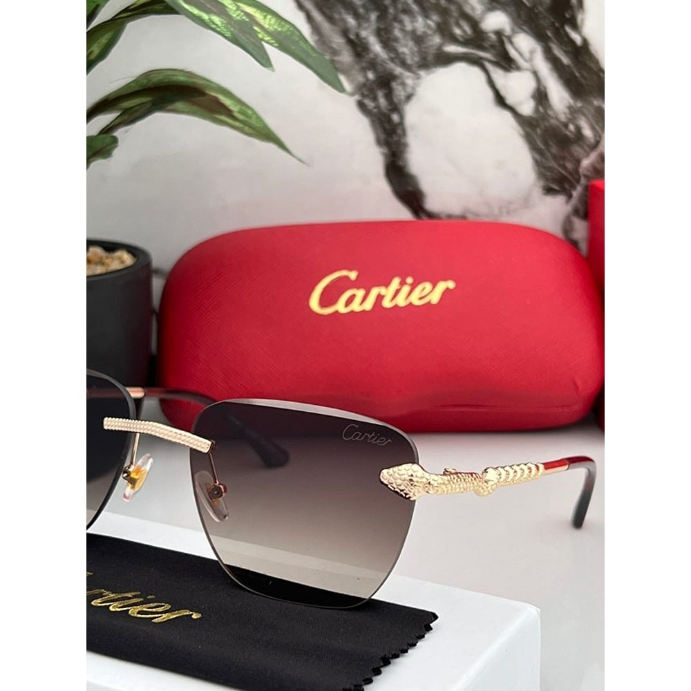 Cartier-Sunglasses-For-Men-Gold-Brown-1.jpg