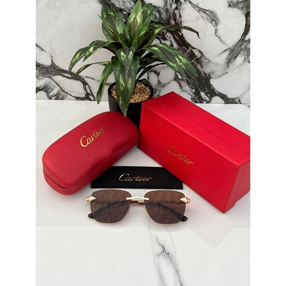 Cartier-Sunglasses-For-Men-Gold-Brown-2-2.jpg