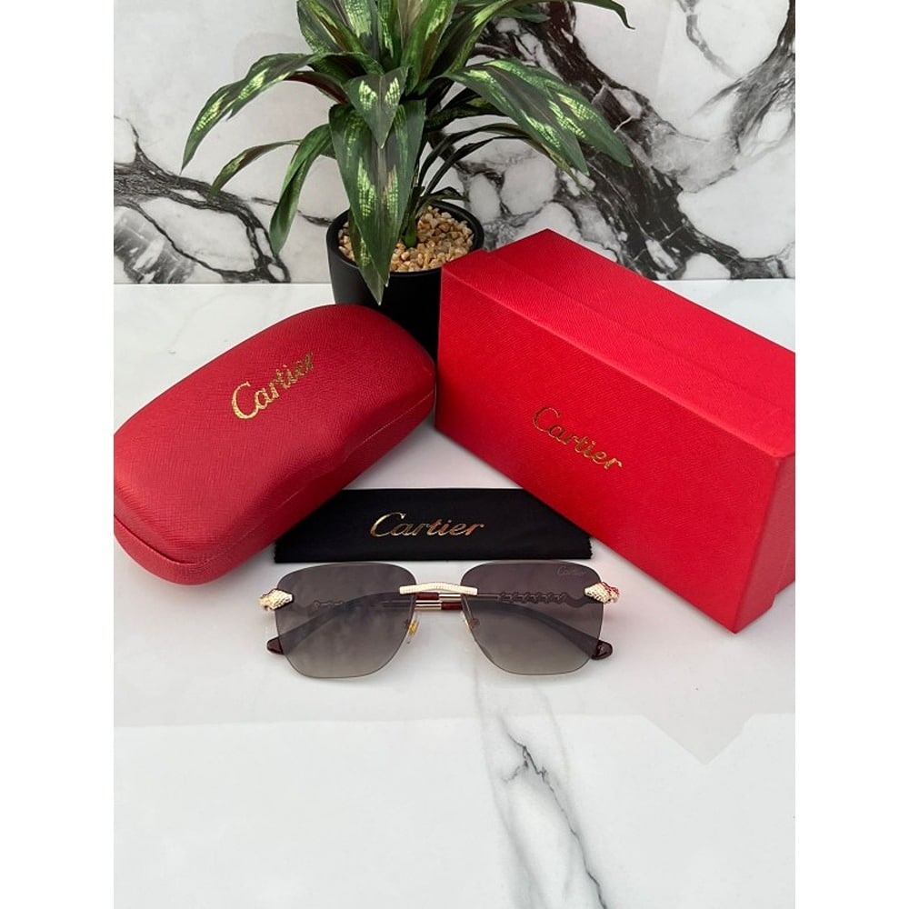 Cartier-Sunglasses-For-Men-Gold-Brown-2.jpg