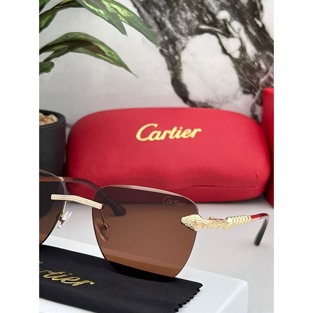 Cartier-Sunglasses-For-Men-Gold-Brown-3-1.jpg