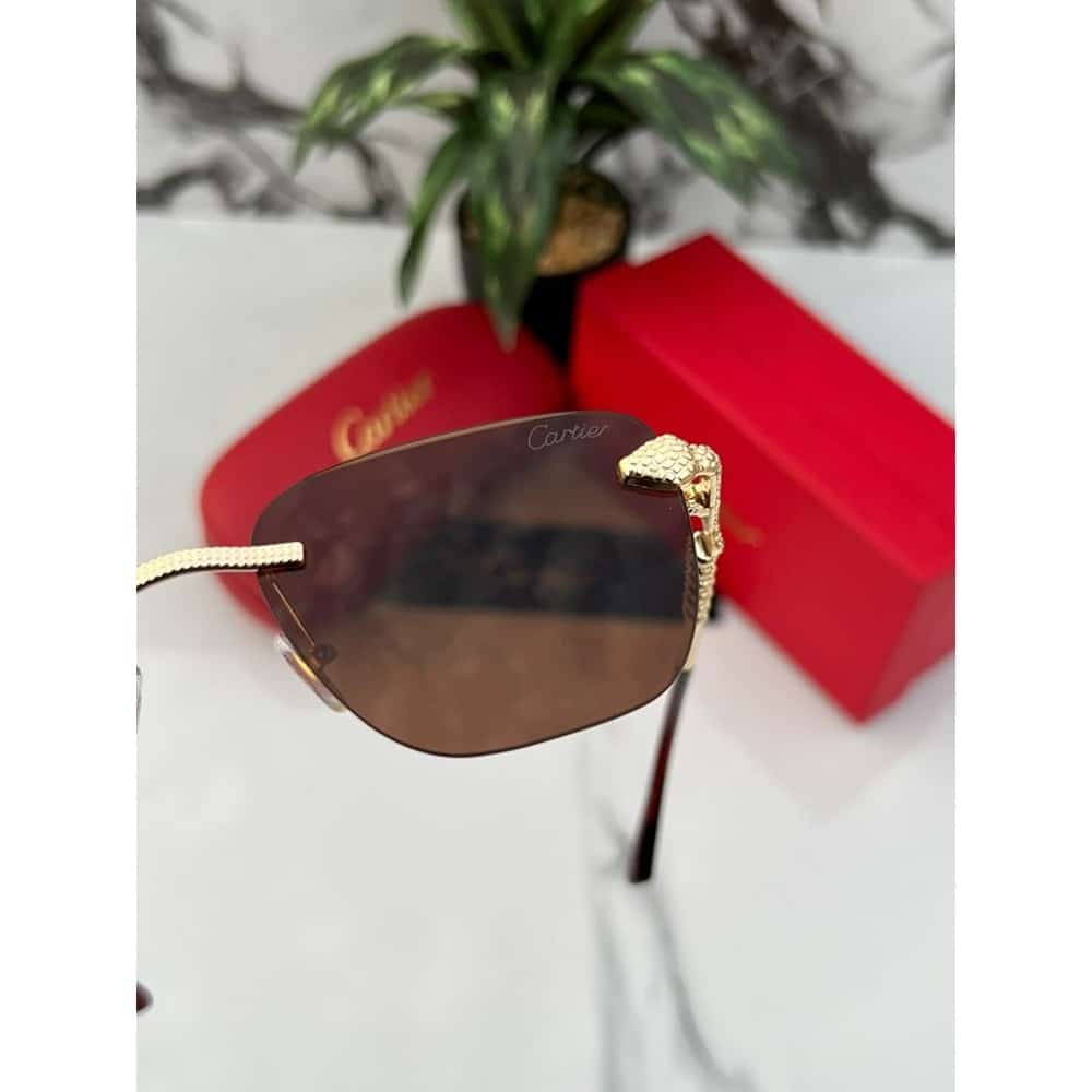 Cartier-Sunglasses-For-Men-Gold-Brown-4-1.jpg