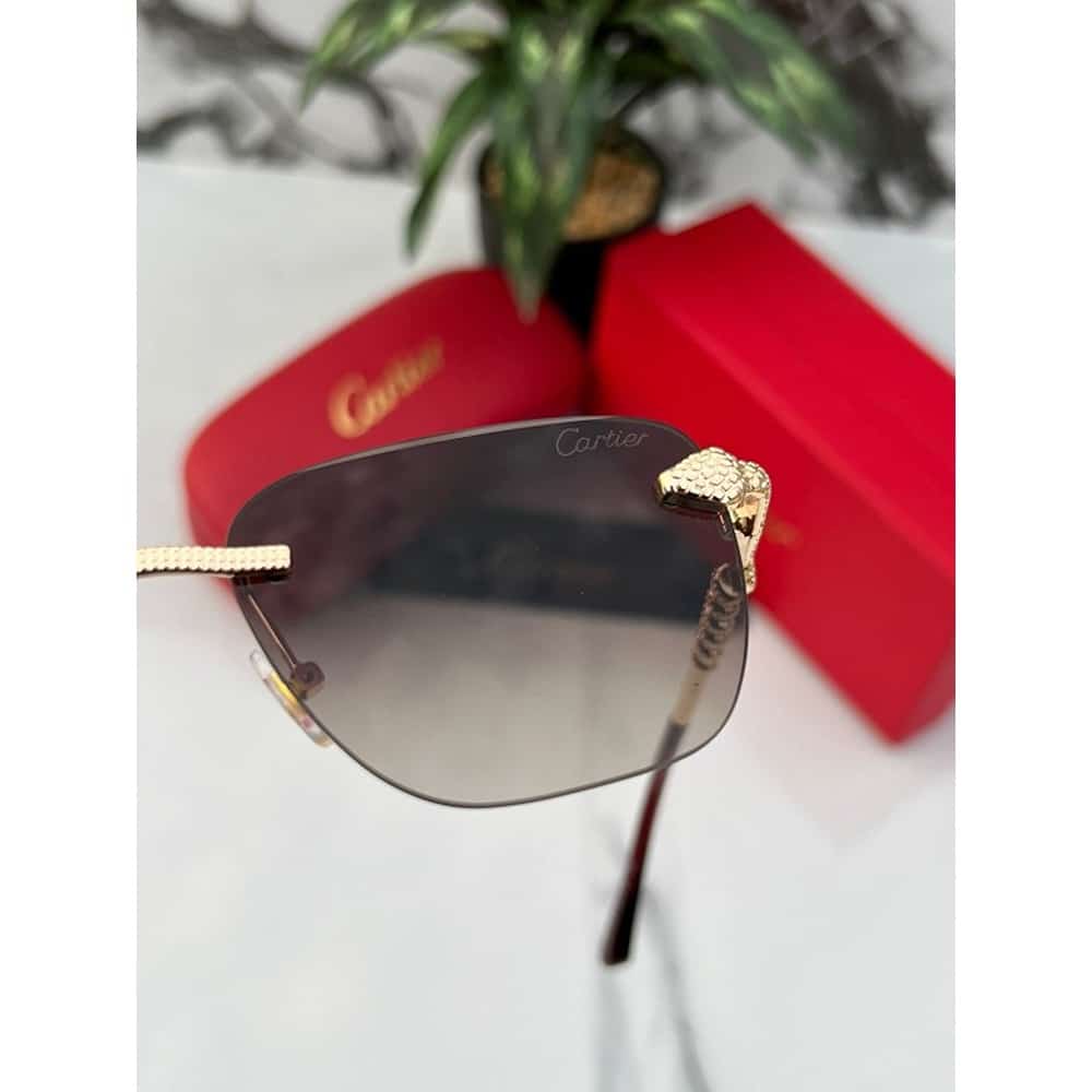 Cartier-Sunglasses-For-Men-Gold-Brown-4.jpg