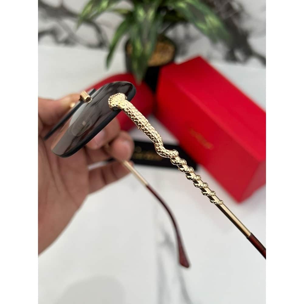 Cartier-Sunglasses-For-Men-Gold-Brown-5.jpg