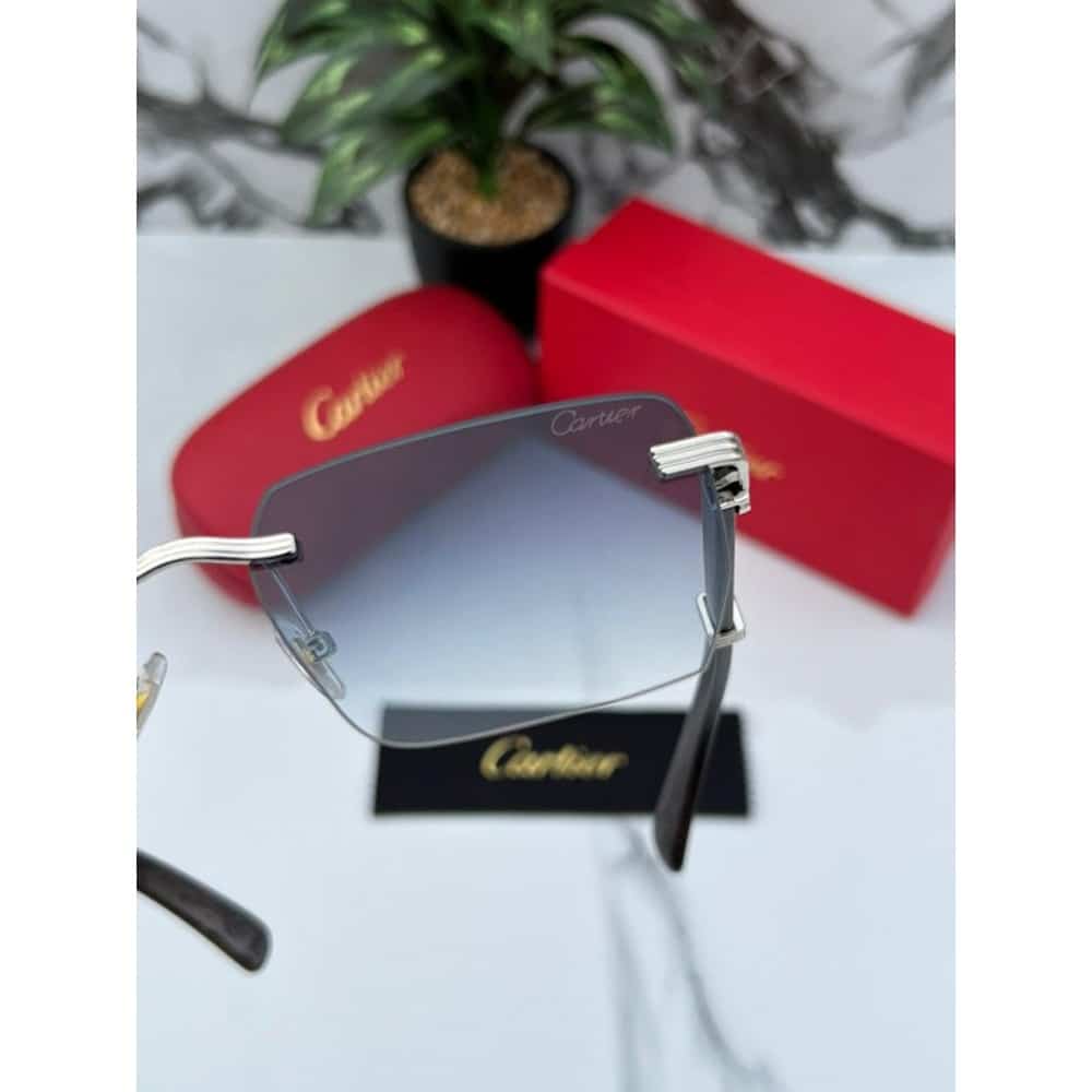 Mens-Cartier-Sunglasses-Sliver-Blue-3.jpg