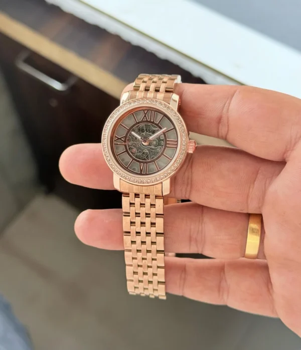 Fossil Curiosity