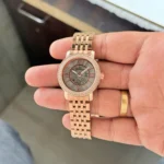 Fossil Curiosity