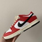 Nike SB Dunk Chicago Low Split