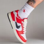 Nike SB Dunk Chicago Low Split