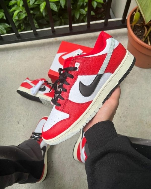 Nike SB Dunk Chicago Low Split