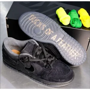 Nike Sb Dunk Low Duck Shoes For Men (BOT134)