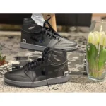 Nike Air Jordan 1 Rox Shoes For Men (LAB1261)