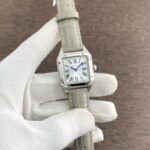 CARTIER Santos Dumont LAQUER