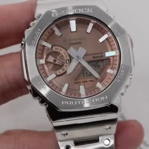 G SHOCK GA-2100 CLASSIC 7AAA PREMIUM STAINLESS STEEL