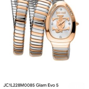 JUSTCAVALLI VEZZOSO SILVER